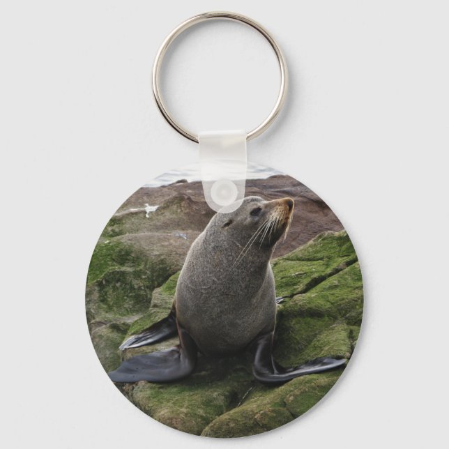 Fur Seal Key Ring (Front)
