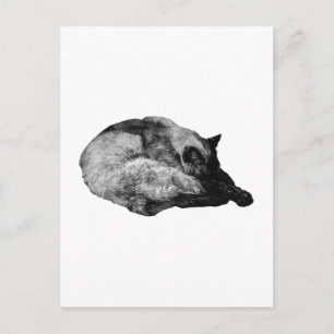 fur-trace calm postcard