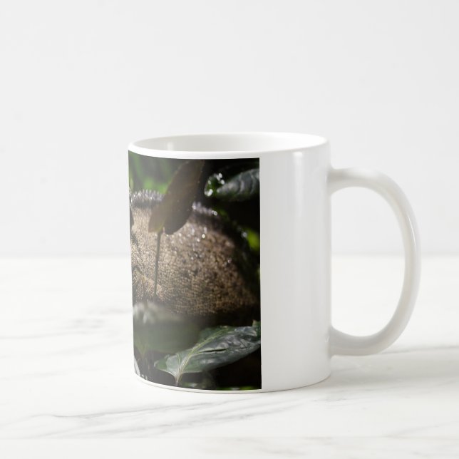 Furcifer oustaleti coffee mug (Right)