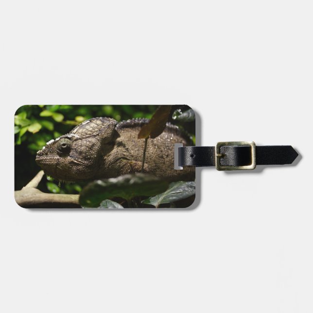 Furcifer oustaleti luggage tag (Front Horizontal)