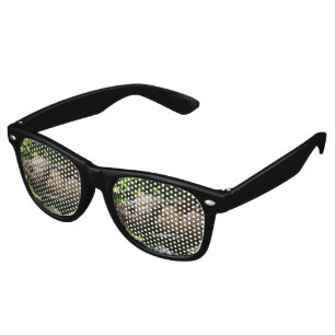Furcifer oustaleti retro sunglasses