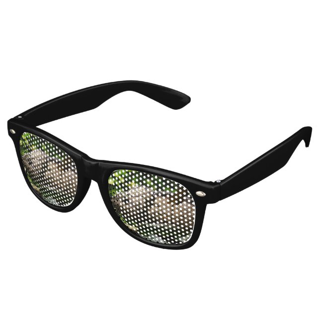 Furcifer oustaleti retro sunglasses (Angled)