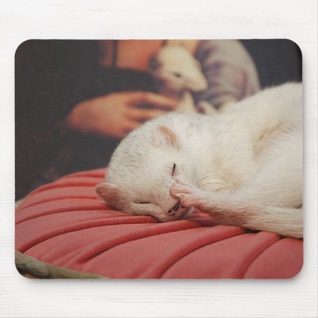 Furet sur coussin rose Mousepad (Front)