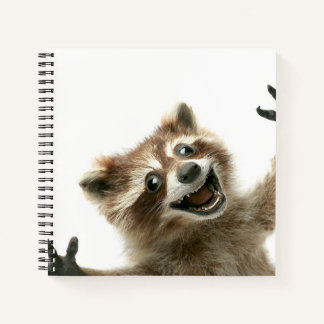 Furiously happy racoon notebook