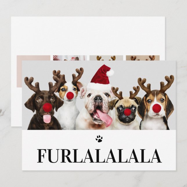 Furlalala Dog Christmas 5 Photo Card (Front/Back)