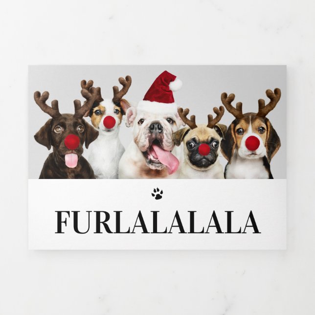 Furlalala Dog Themed Photo Personalised Christmas Tri-Fold Holiday Card (Cover)