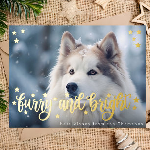 Furry and bright christmas gold pet photo  foil holiday postcard