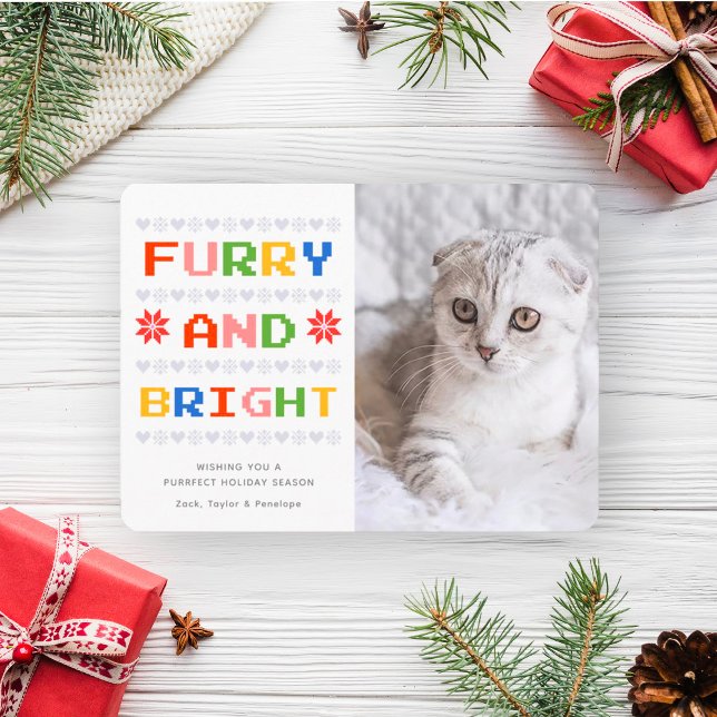 Furry and Bright | Christmas Holiday Cat Photo (Creator Uploaded)