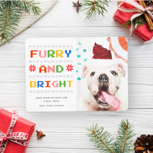 Furry and Bright   Christmas Holiday Pet Dog Photo