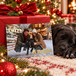 Furry and Bright Christmas Photo