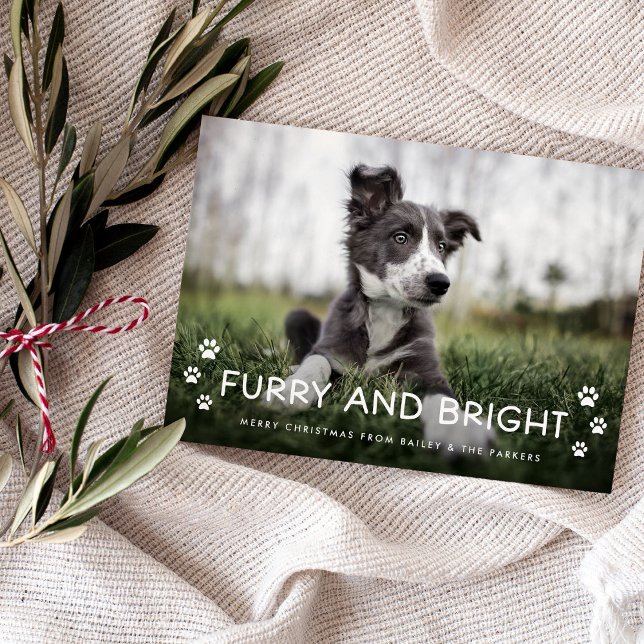 Furry and Bright | Christmas Photo from the Dog Magnetic Invitation (An adorable Christmas holiday photo card from your dog)