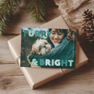Furry and Bright Dog Family Teal Green Holiday Card