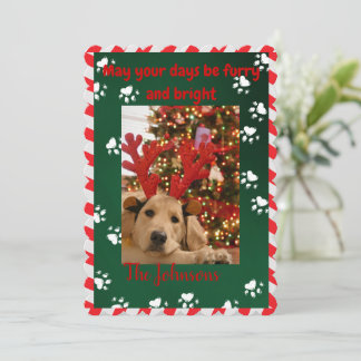 Furry and Bright Dog Photo Christmas Card