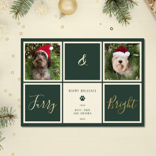 Furry And Bright Green Gold Foil Photo Dog
