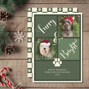 Furry And Bright Green Photo Collage Dog  Holiday Card