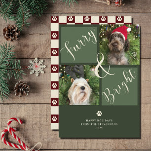 Furry And Bright Green Red 2 Photo Dog  Holiday Card