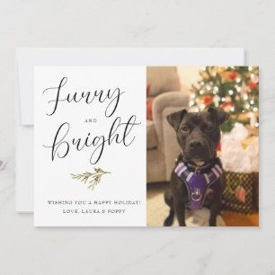 Furry and Bright Holiday Card