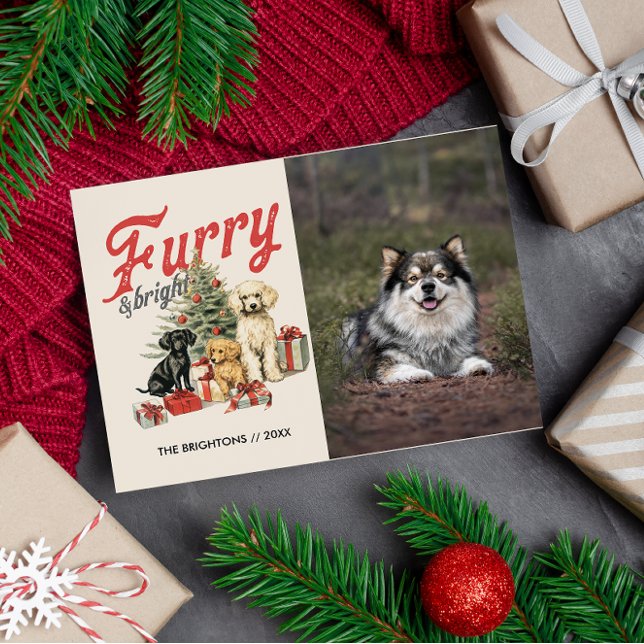 FURRY AND BRIGHT MERRY CHRISTMAS DOG PET FURBABY HOLIDAY POSTCARD (furry and bright pet themed holiday photo postcard with custom message and return address)