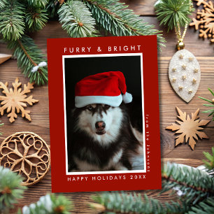 Furry and Bright Paw Print Red Pet Photo Christmas Holiday Card