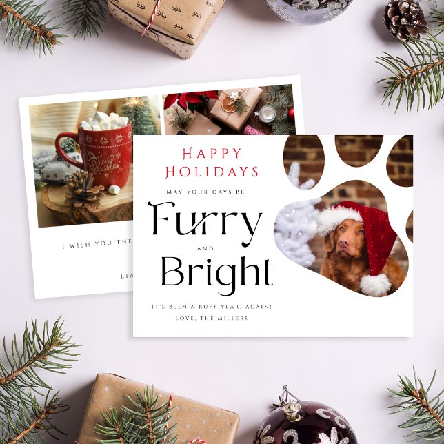 Furry and Bright Pet 3 Photo Funny holiday card (Creator Uploaded)