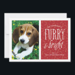 Furry and Bright Pet Photo Card<br><div class="desc">Show off your furbaby's photo in this modern photo card featuring the phrase "furry and bright".</div>
