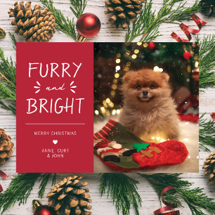 Furry and Bright Pet Photo Christmas Holiday Card
