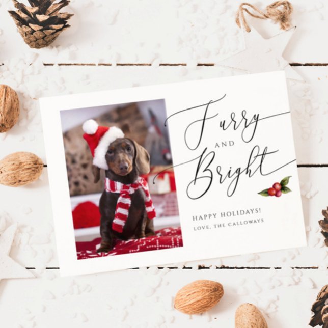 Furry and Bright Pet Photo Christmas Holiday Card (Creator Uploaded)