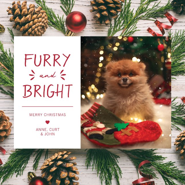Furry and Bright Pet Photo Christmas Holiday Red (Creator Uploaded)