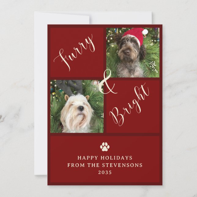 Furry And Bright Red 2 Photo Dog Holiday Card (Front)
