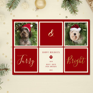 Furry And Bright Red Gold Foil Photo Dog