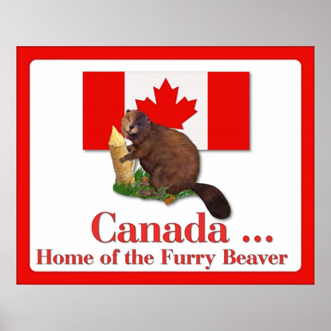 Furry Beaver Poster (Front)