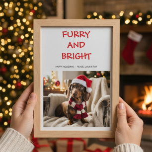 Furry & Bright Colorful dog Christmas Card