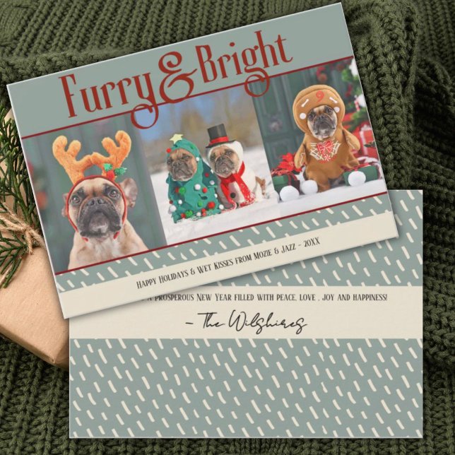 Furry & Bright Dog Christmas Photo Holiday Card (Creator Uploaded)