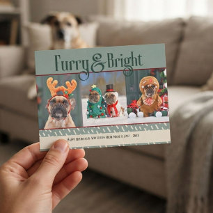 Furry& Bright Dog Christmas Photo Holiday Postcard