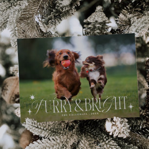 Furry & Bright Dog Horizontal Photo Christmas Holiday Card