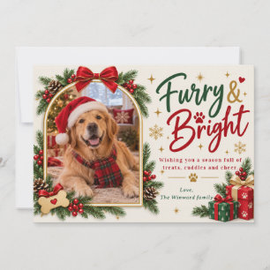 Furry & Bright Dog Photo Christmas Card