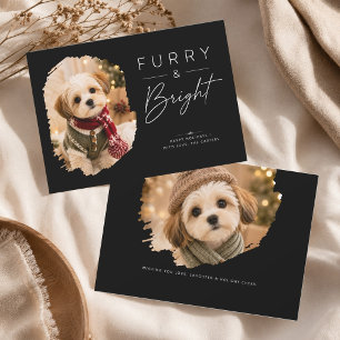 Furry & Bright Elegant Puppy Christmas Photo Holiday Card