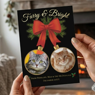 Furry & Bright Festive Photo Family Cat