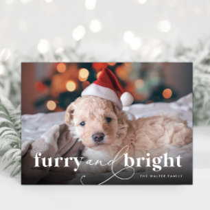 Furry & Bright Full Photo Holiday Card