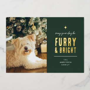 Furry & Bright Modern Dog Photo Collage Christmas