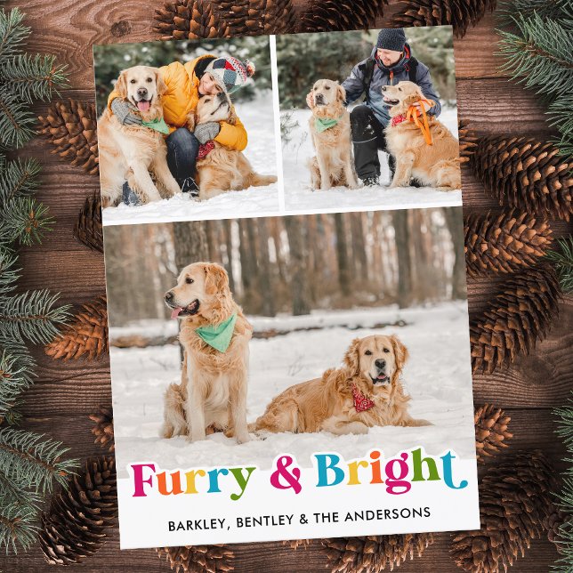Furry & Bright Personalised Colourful Pet Dog Phot Holiday Card (Creator Uploaded)