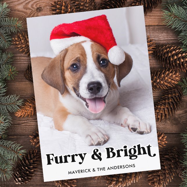 Furry & Bright Personalised Simple Pet Dog Photo Holiday Card (Creator Uploaded)