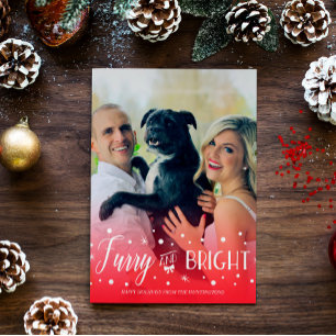 Furry & Bright - Pet Christmas Photo Holiday Card