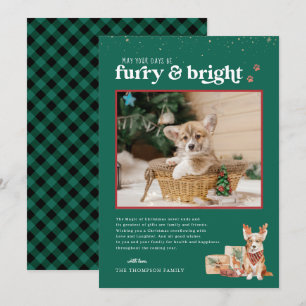 Furry & Bright Pet Holiday Photo Card