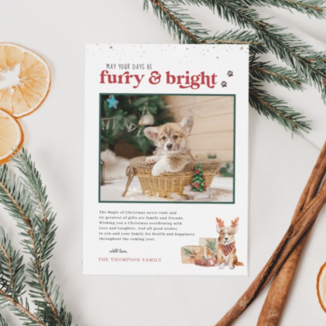 Furry & Bright | Pet Holiday Photo Card (Creator Uploaded)