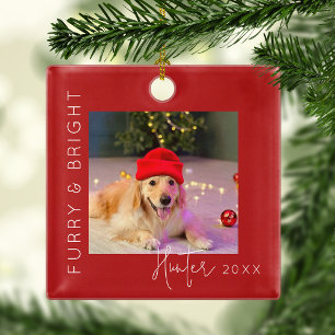 Furry & Bright   Pet Photo Christmas Tree Metal Tree Decoration