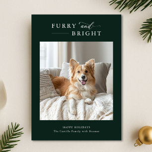 Furry & Bright Simple Dog Christmas 2 Photo Green Holiday Card