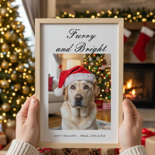Furry & Bright Simple Family Holiday Card
