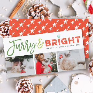 Furry & Bright Typography Cat Lover 3 Photo Pet Holiday Card
