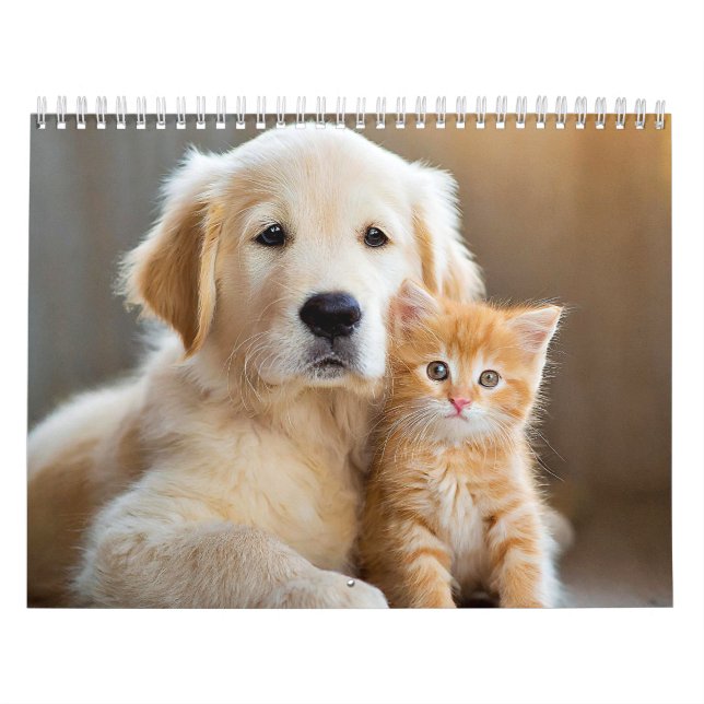 Furry buddies calendar (Cover)